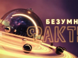 Безумные факты						