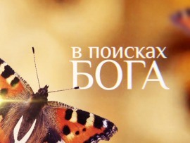 В поисках Бога						