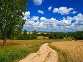 Александрова дорога						