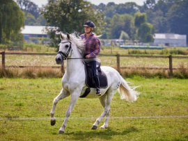 Спирит. Серебряная звезда