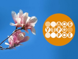 Телеканал "Доброе утро"						