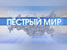 Пёстрый мир						