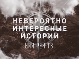 Невероятно интересные истории						