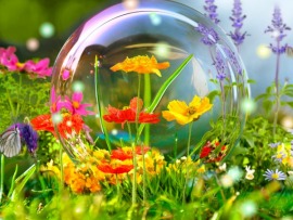 Телефильм (на татарском языке): "Твои глаза..."						