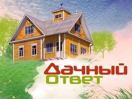Дачный ответ						