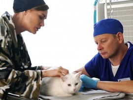 Котейка: 1–2 серии