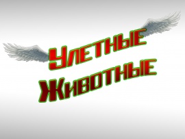 Улетные животные						
