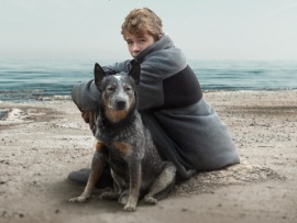 У самого белого моря